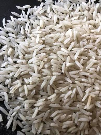 LAL-86 Rice