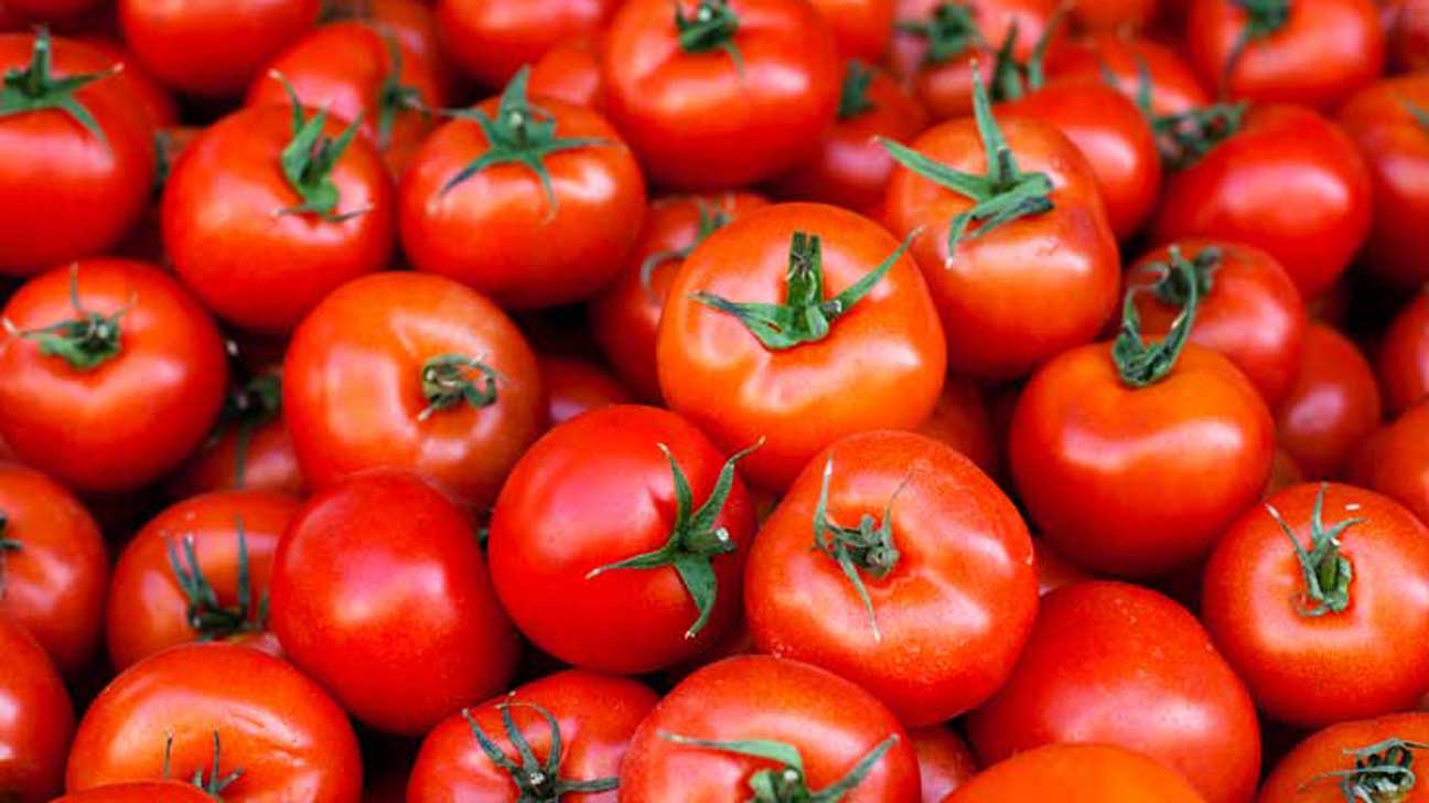 Organic Tomatoes